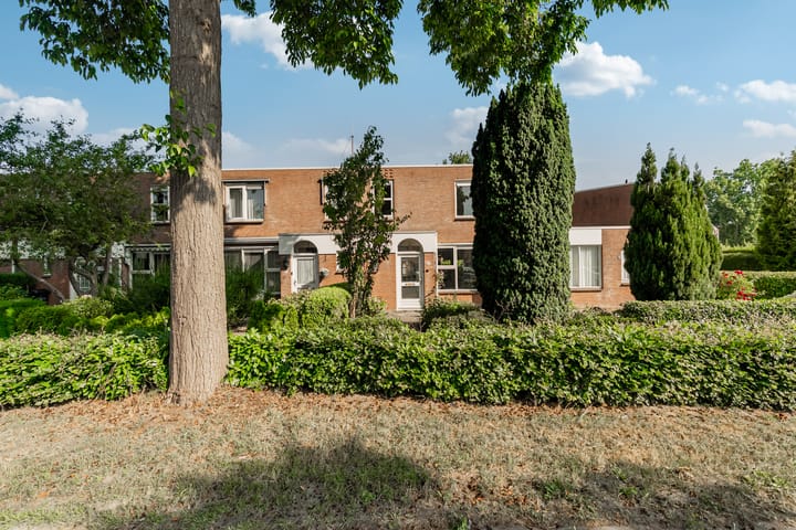 Foto 38 van Leemwierde 148