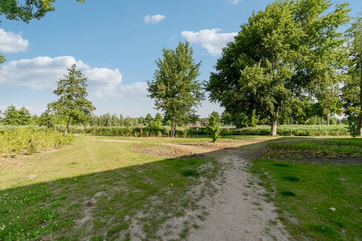 Foto 39 van Leemwierde 148