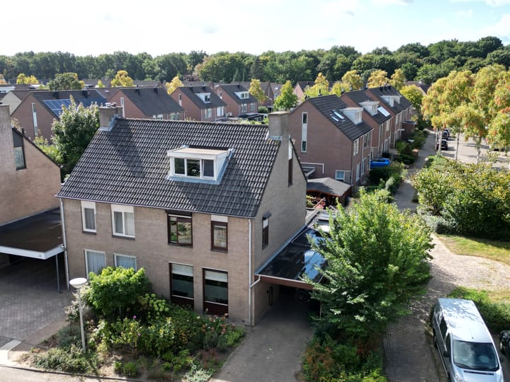 Photo 2 of Helmkruid 28