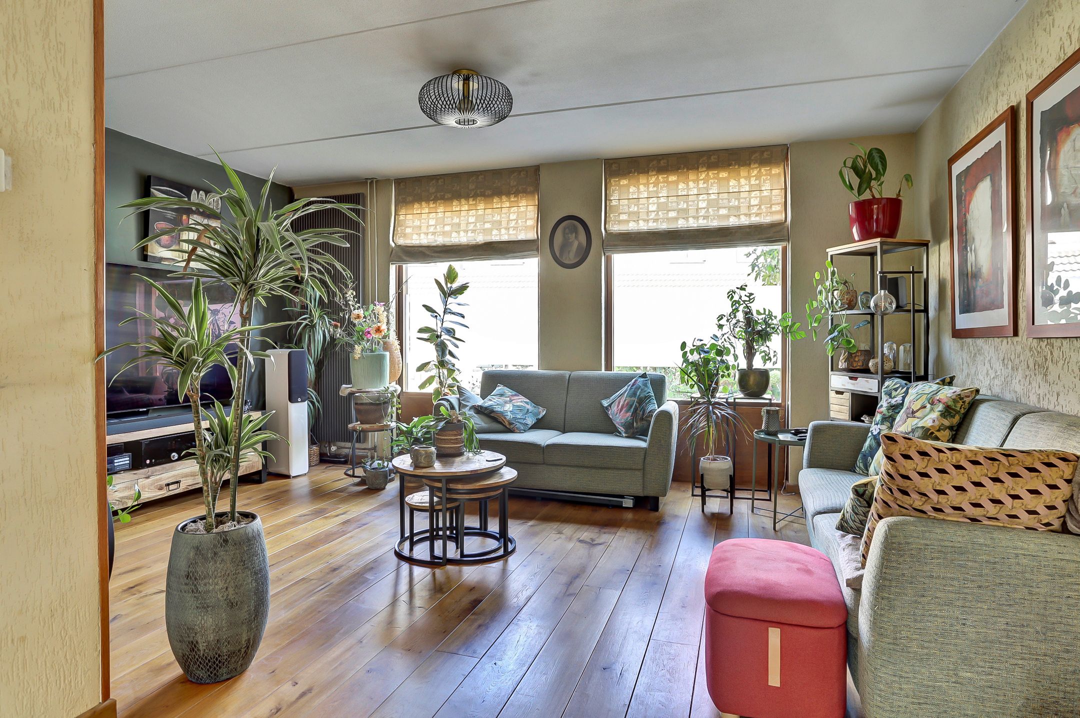 Foto 3 van Helmkruid 28