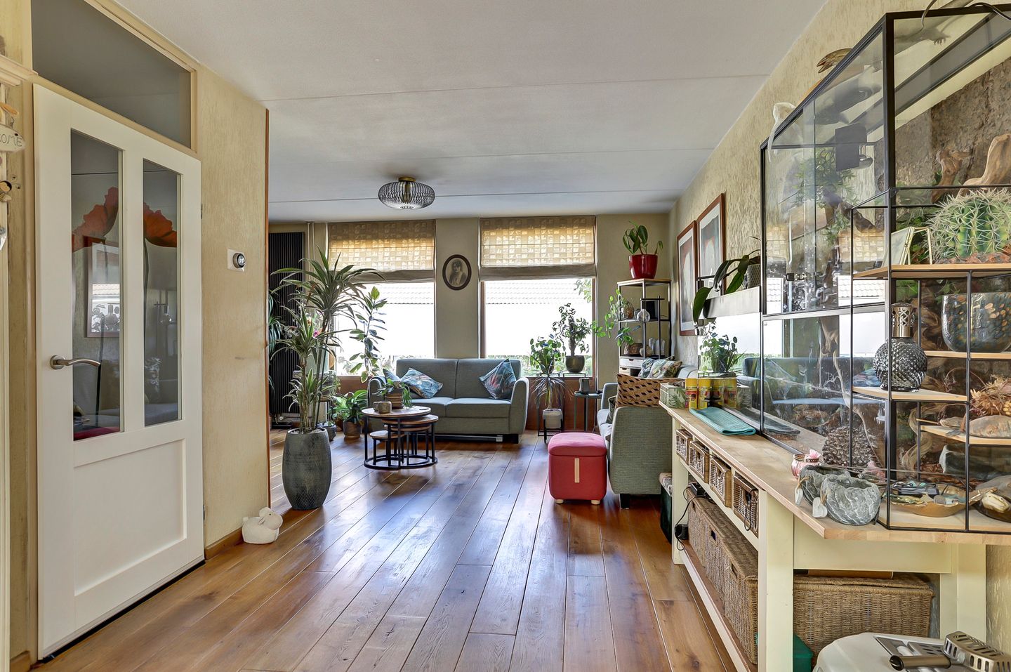 Foto 4 van Helmkruid 28