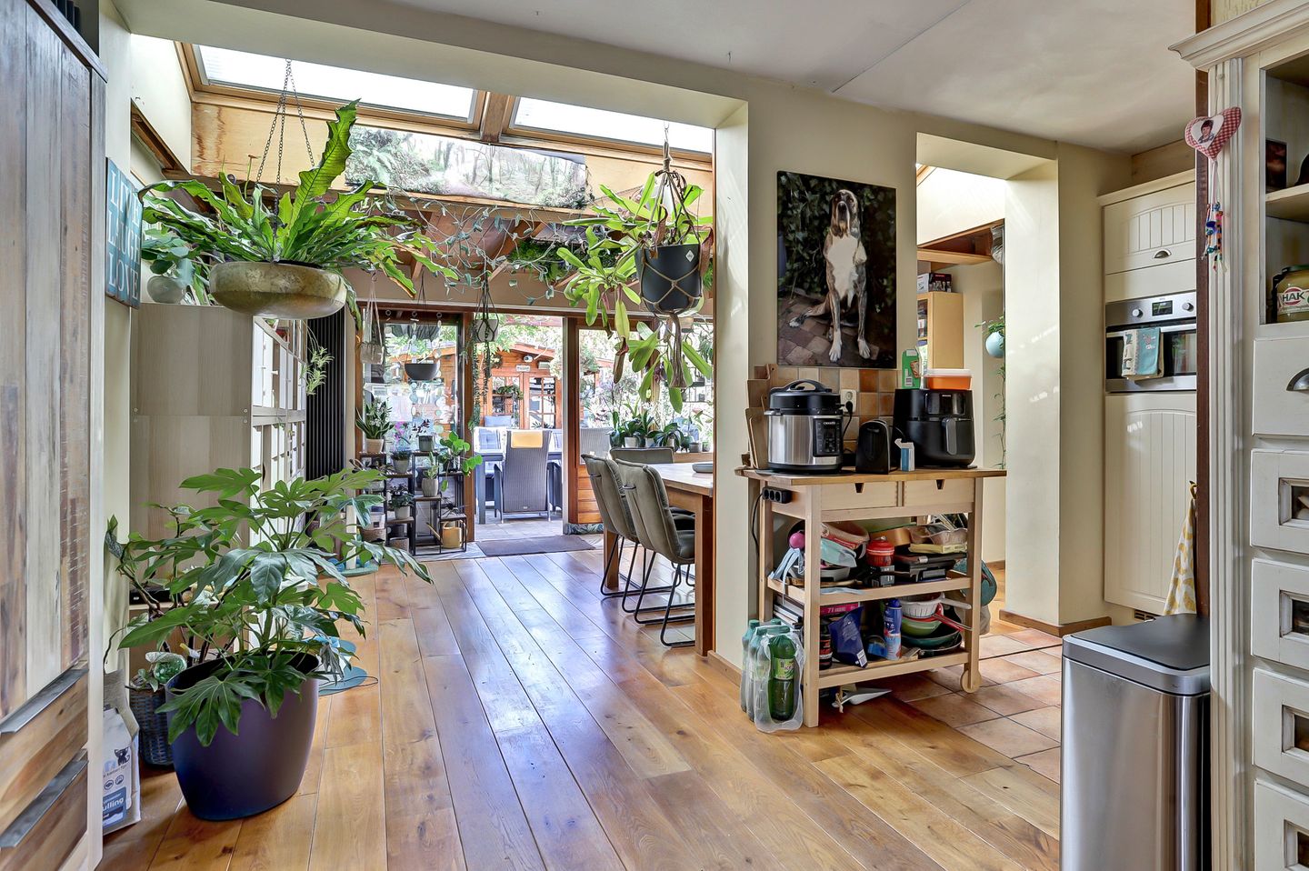 Foto 5 van Helmkruid 28