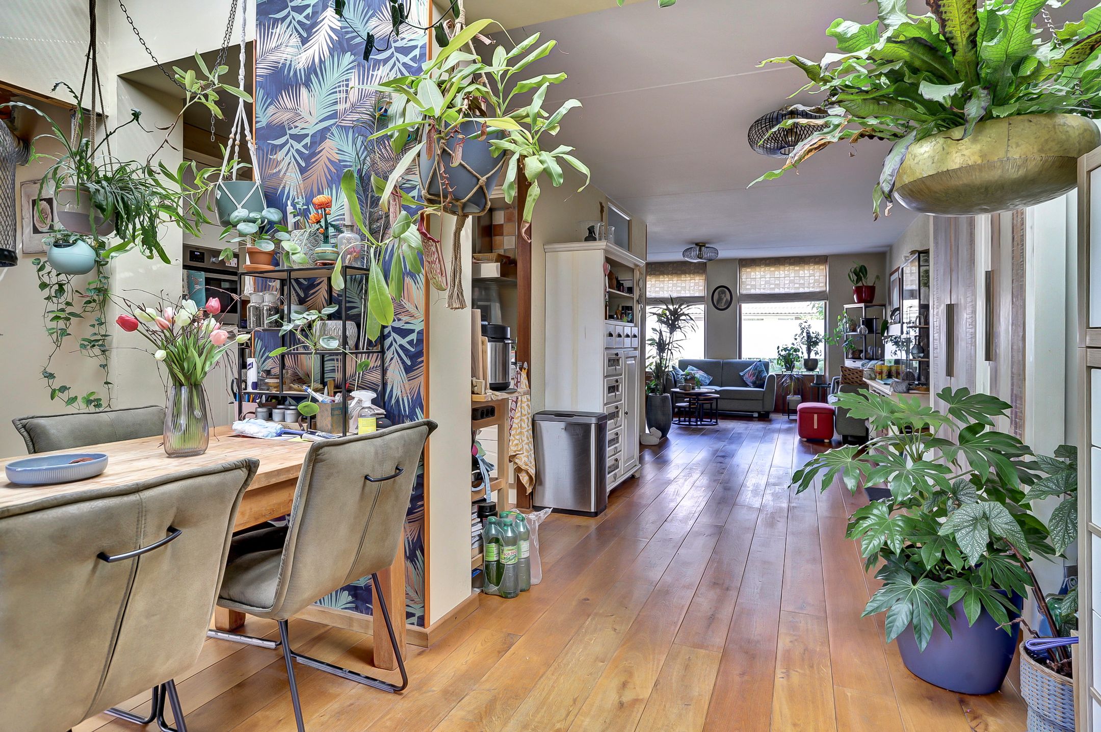 Foto 6 van Helmkruid 28