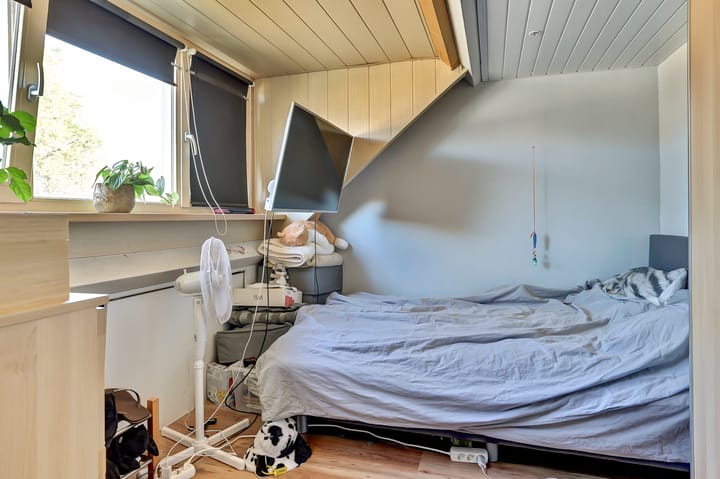 Photo 19 of Helmkruid 28