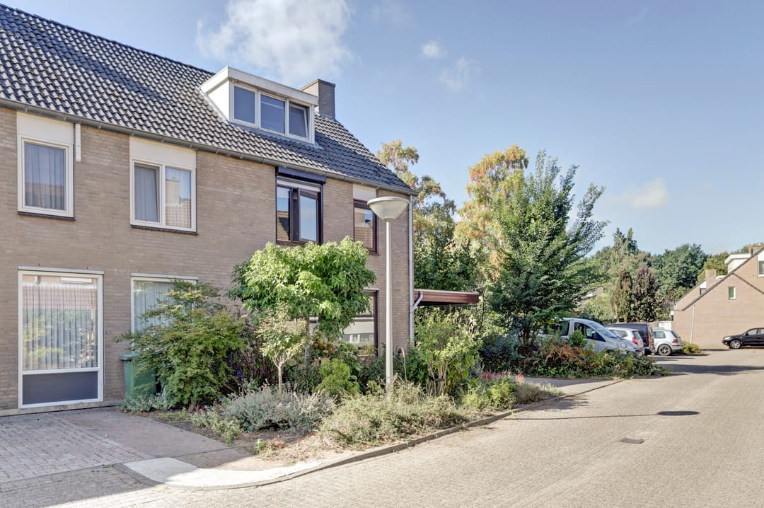 Foto 26 van Helmkruid 28