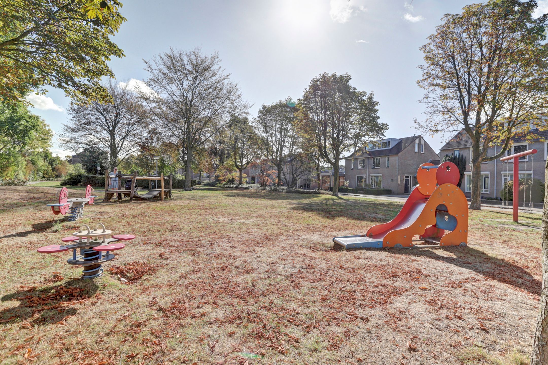 Foto 27 van Helmkruid 28