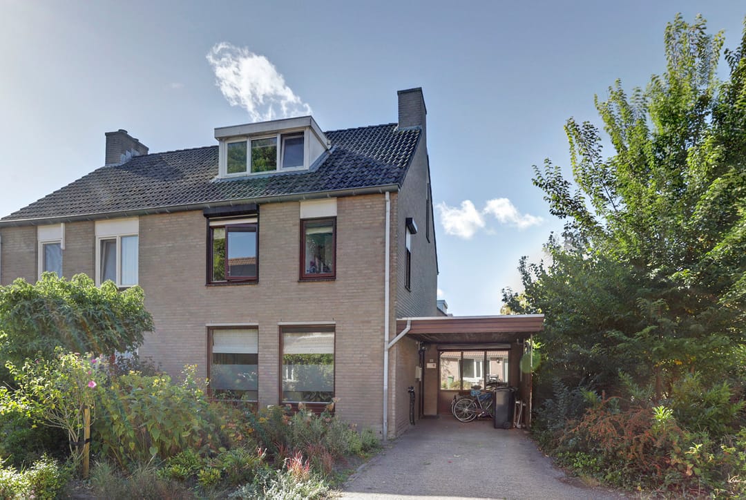 Foto 28 van Helmkruid 28