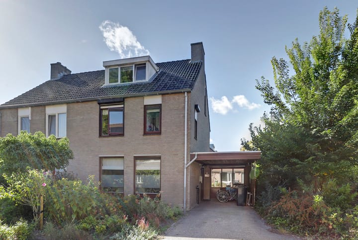 Photo 28 of Helmkruid 28