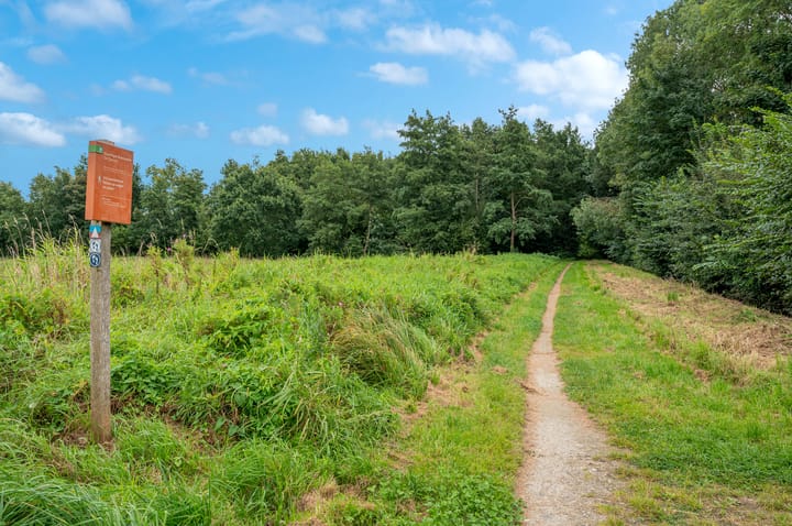 Foto 44 van Raadhuisstraat 84