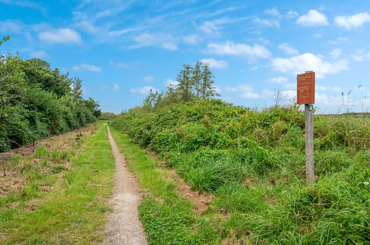 Foto 45 van Raadhuisstraat 84