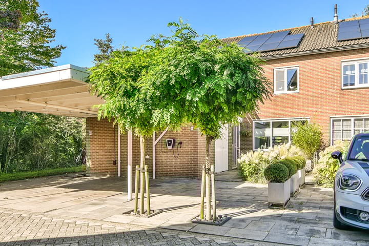 Foto 5 van Zaanden 9