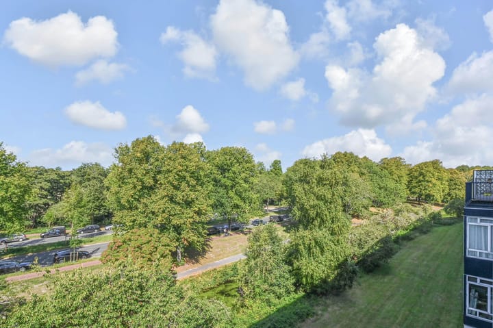 Foto 6 van Barnsteenhorst 190