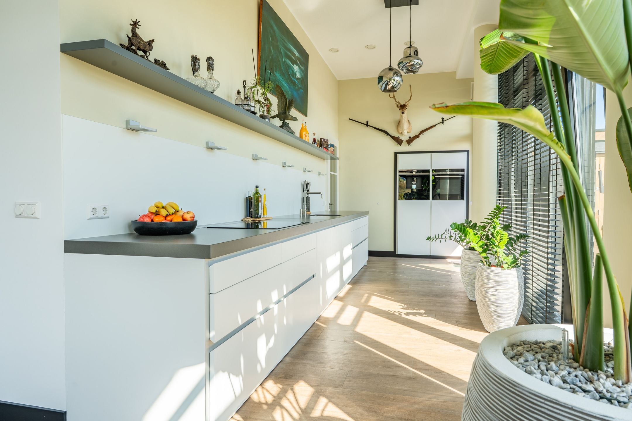 Foto 18 van Portugalkade 103