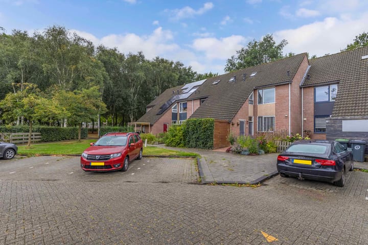 Foto 6 van Dorsvloer 47