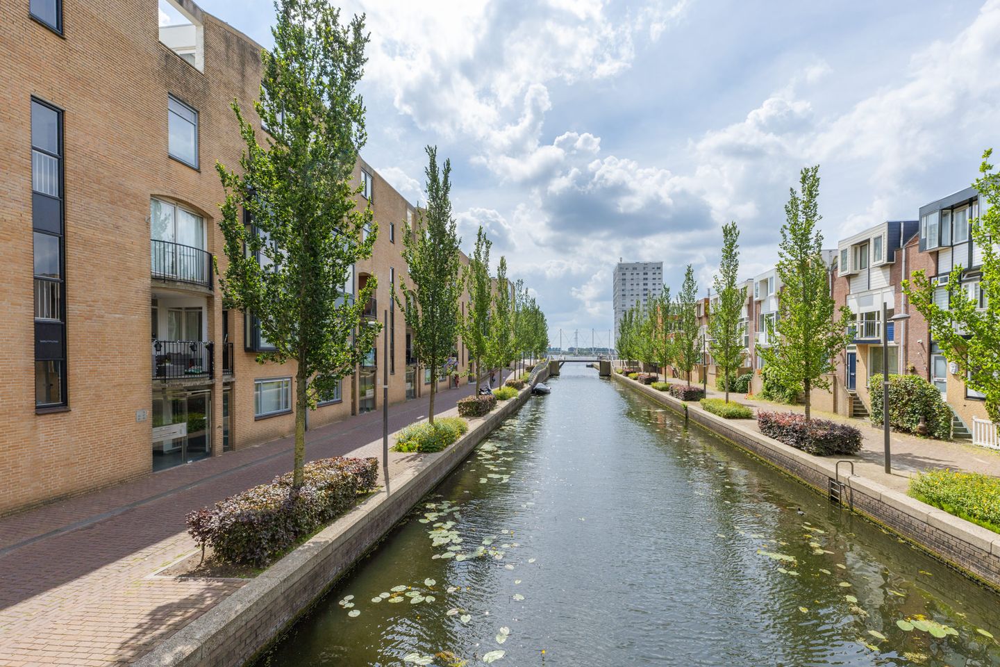 Photo 5 of Olstgracht 81