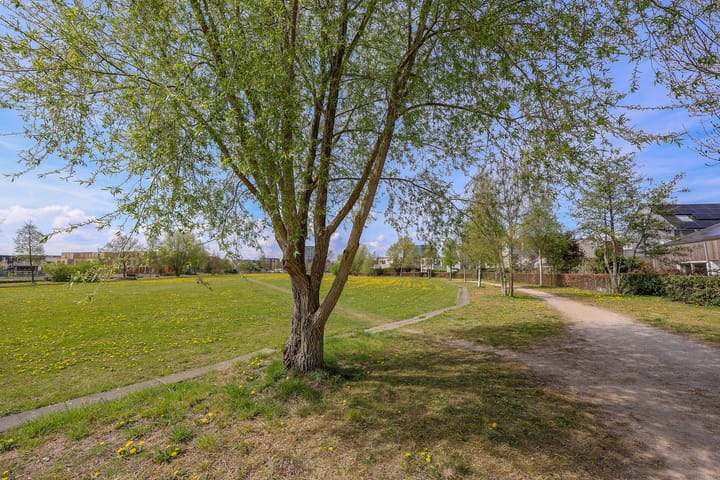 Foto 46 van Aurorastraat 26