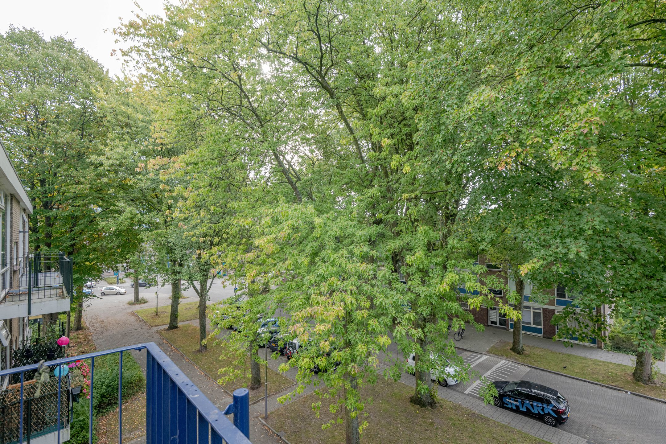 Photo 12 of Schoonegge 273