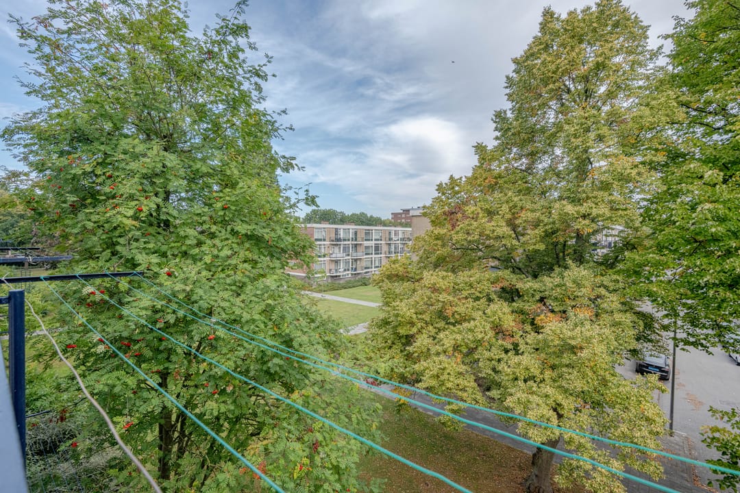 Photo 23 of Schoonegge 273