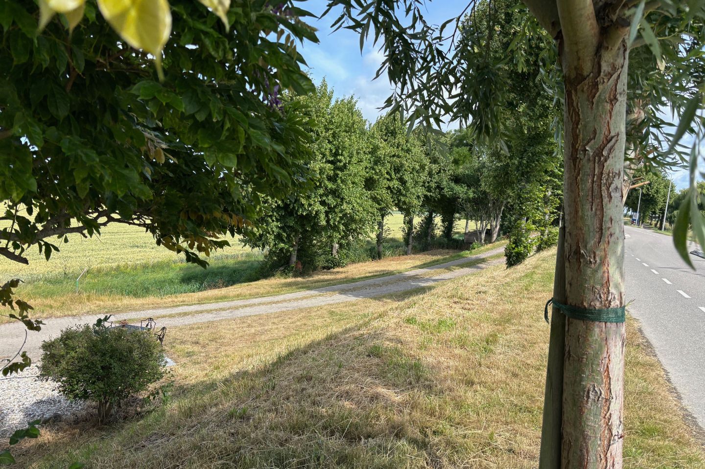 Photo 50 of Molendijk 45