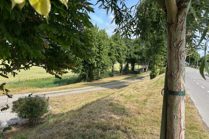 Foto 50 van Molendijk 45