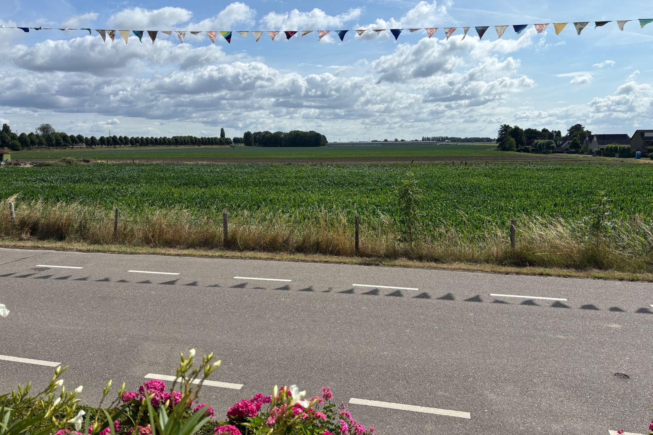 Photo 51 of Molendijk 45