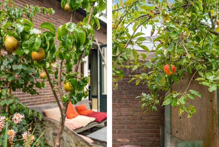 Foto 61 van Breedeweg 28