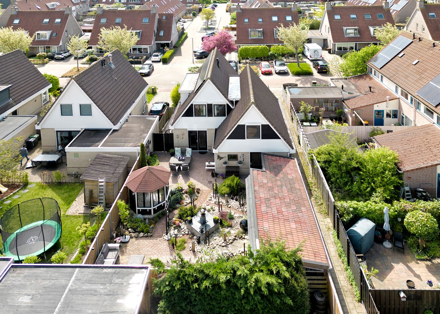 Photo 34 of Paradijsvogel 1