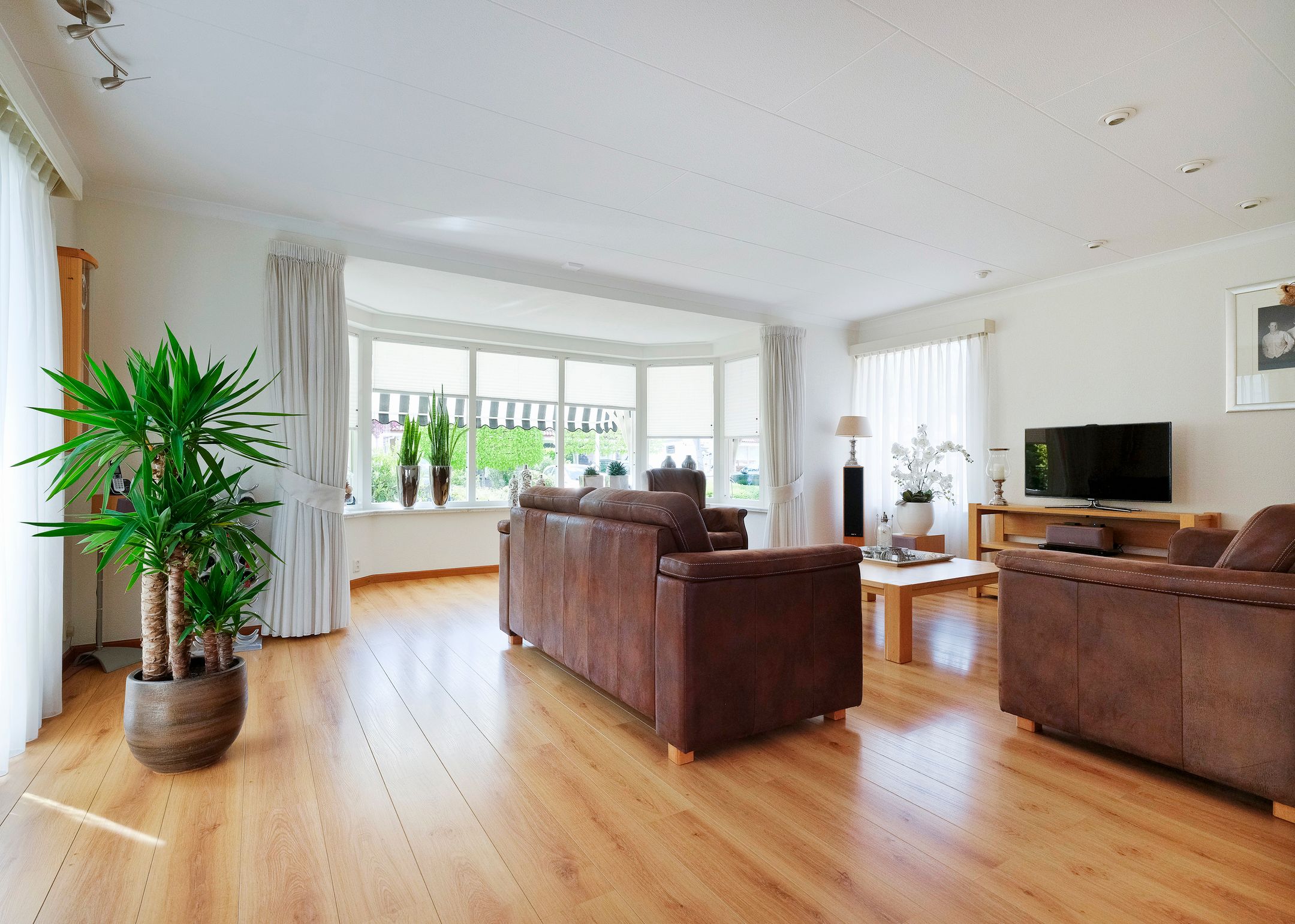 Photo 6 of Paradijsvogel 1