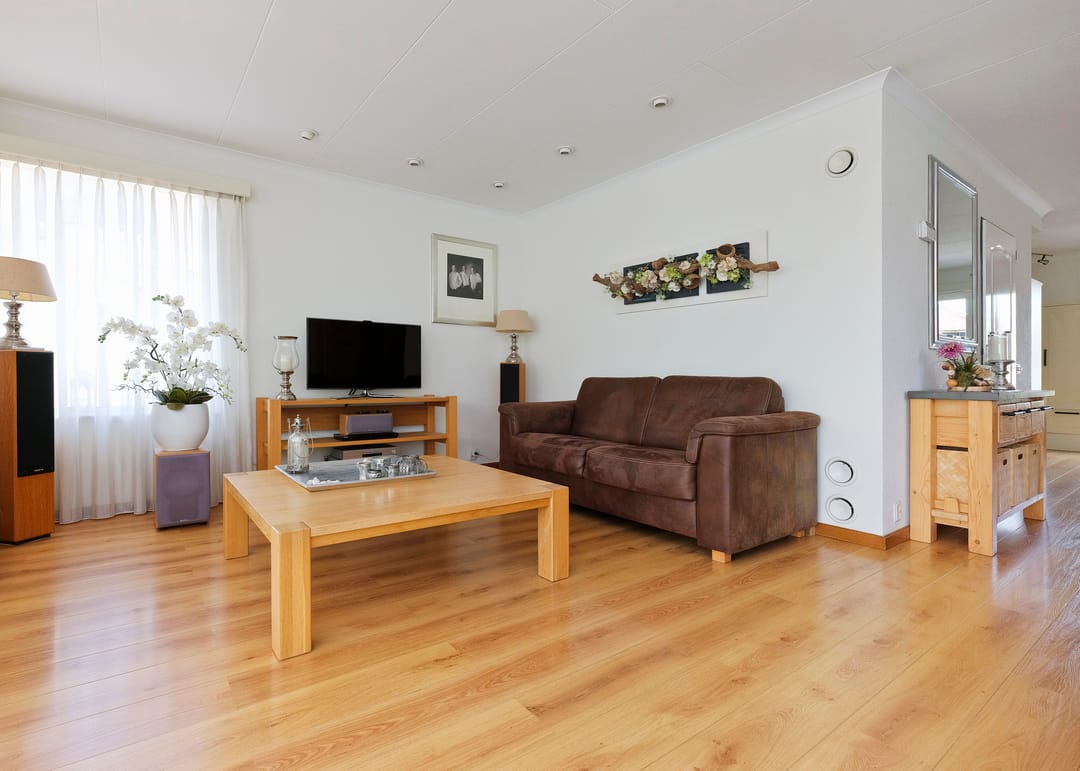 Photo 7 of Paradijsvogel 1