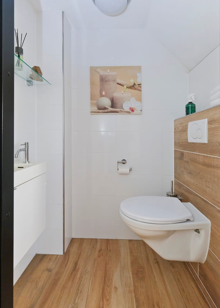 Foto 14 van Paradijsvogel 1