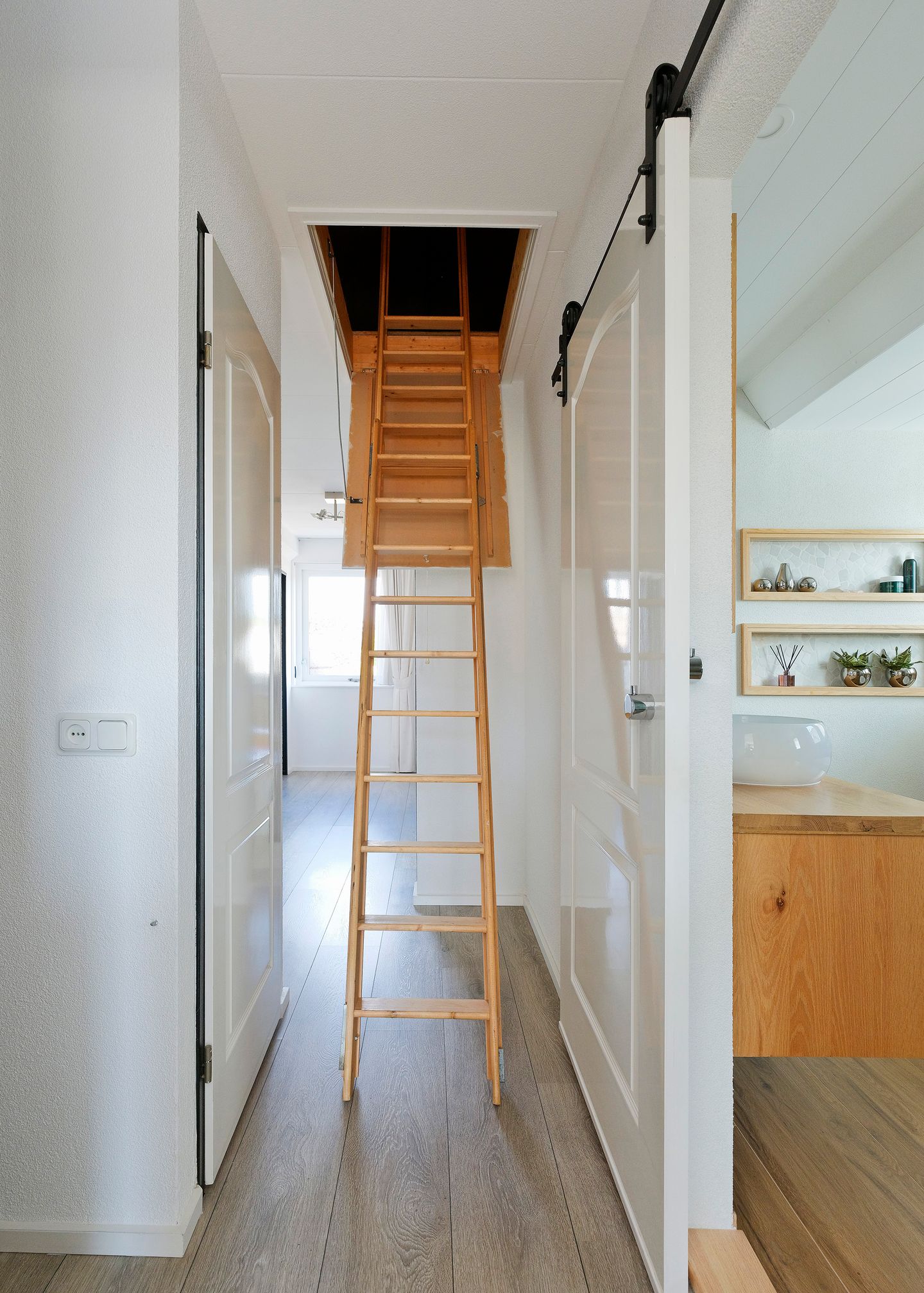 Photo 29 of Paradijsvogel 1