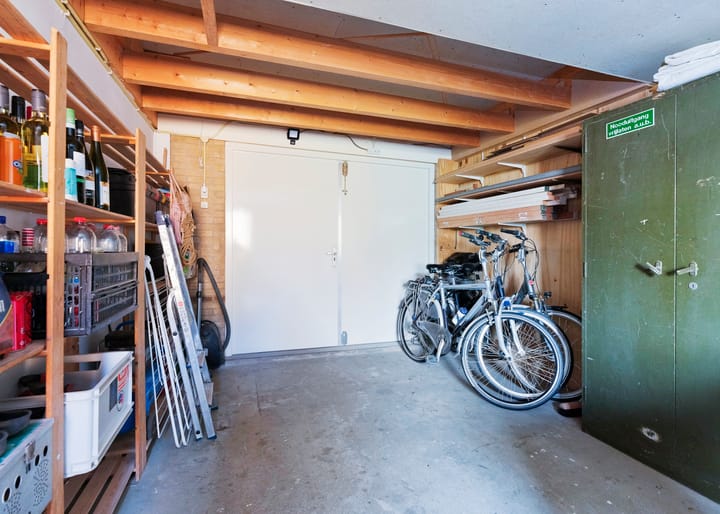 Foto 31 van Paradijsvogel 1