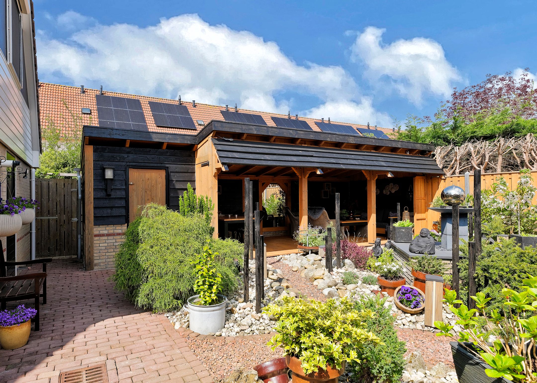 Photo 36 of Paradijsvogel 1