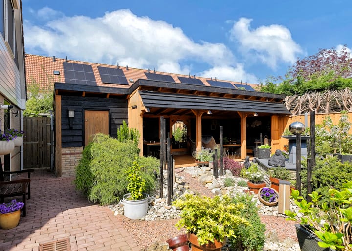 Foto 36 van Paradijsvogel 1