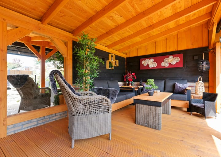 Foto 40 van Paradijsvogel 1