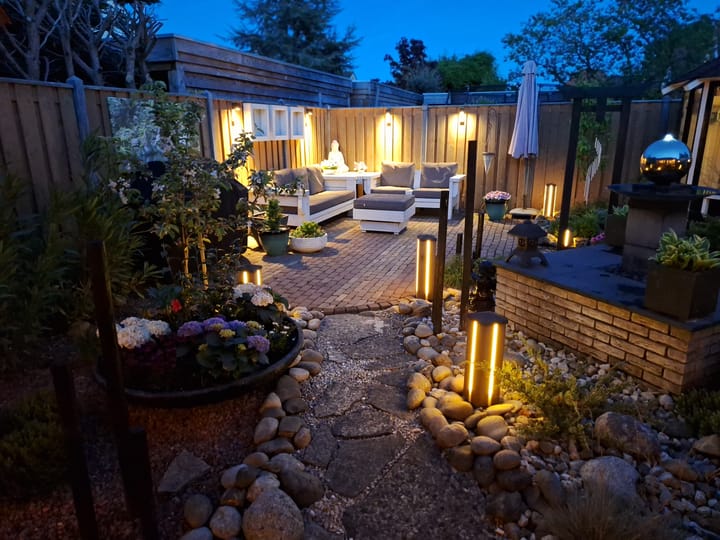 Foto 42 van Paradijsvogel 1