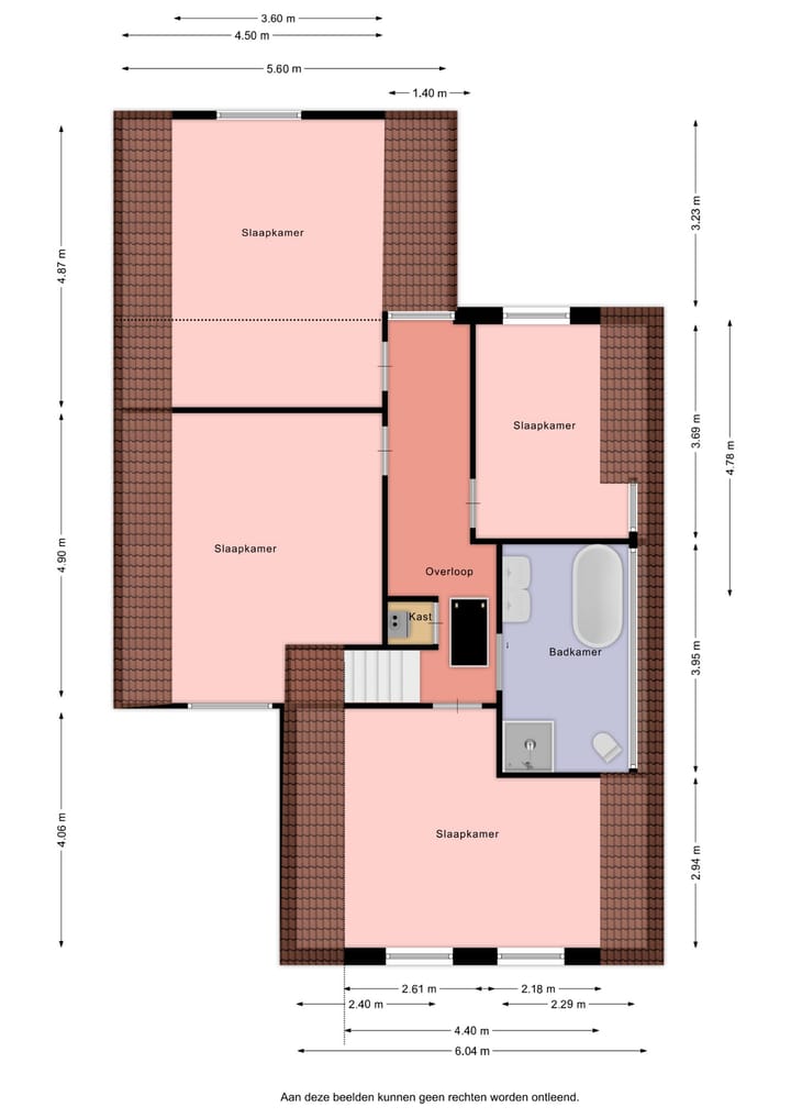 Foto 49 van Paradijsvogel 1