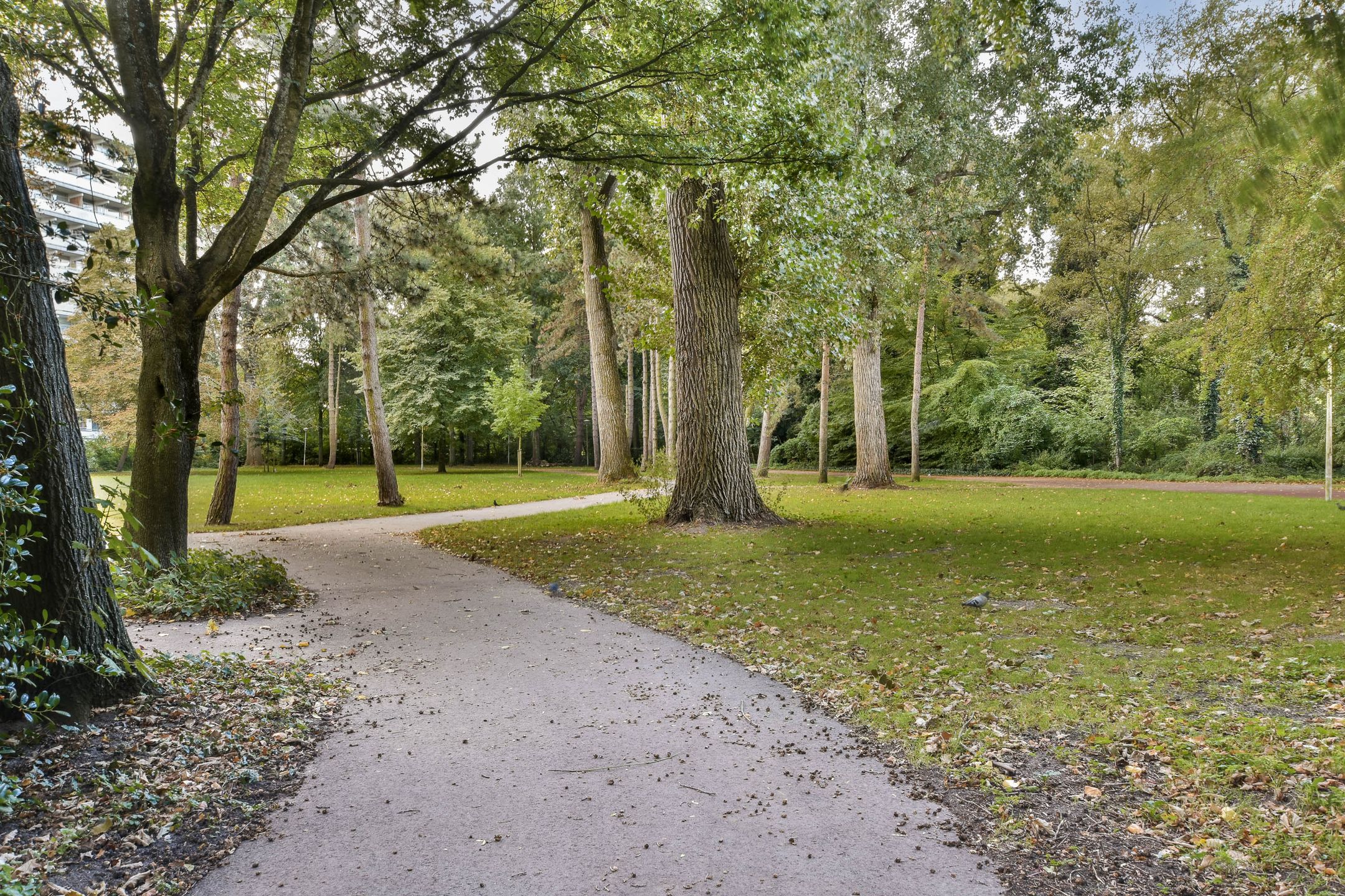 Foto 24 van Wipmolen 79