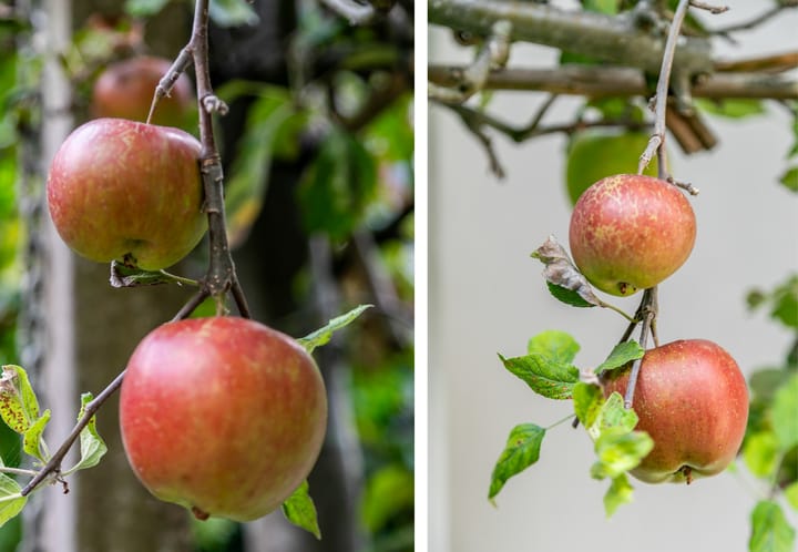 Foto 45 van Zomerluststraat 9