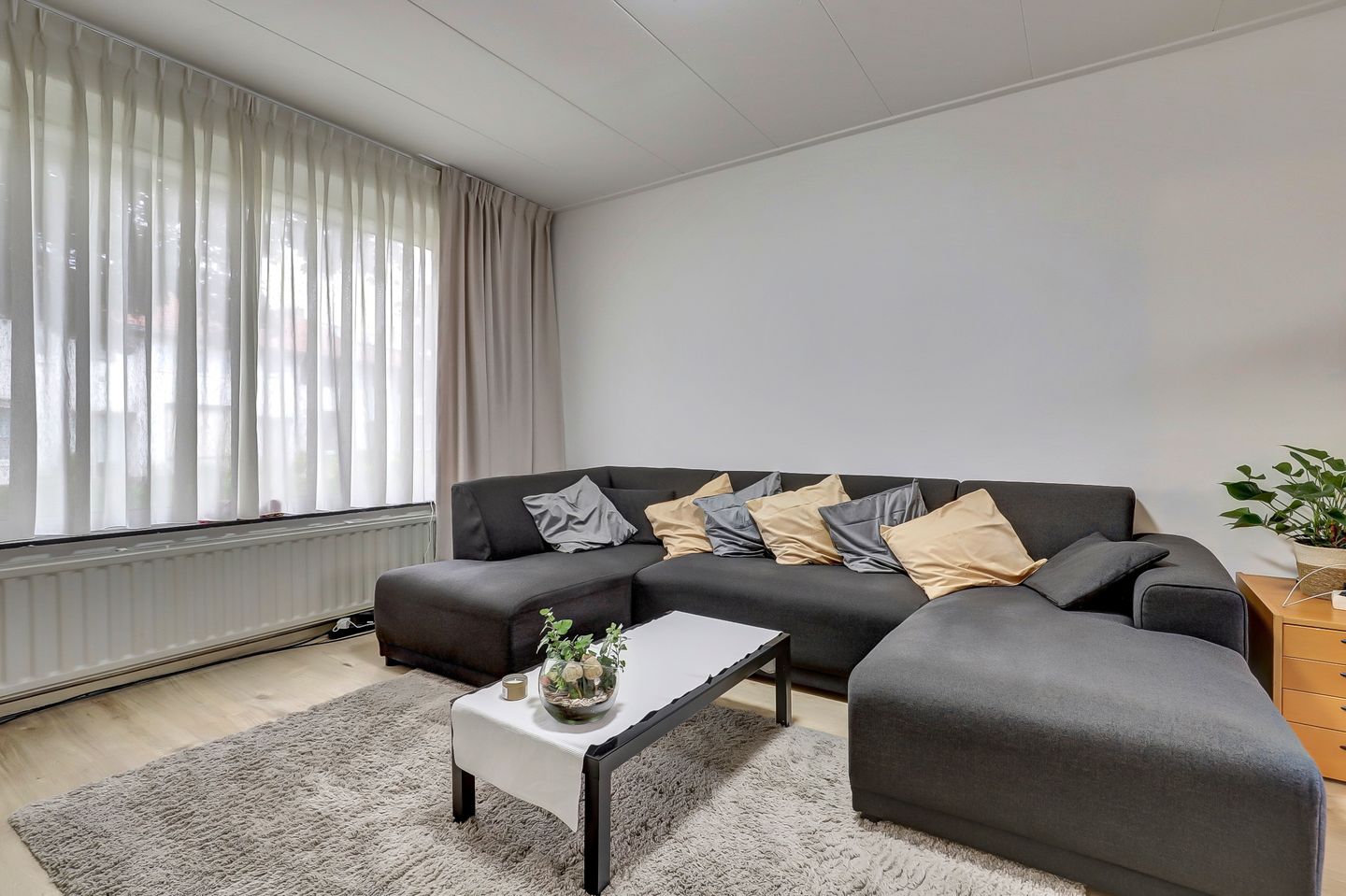 Foto 4 van Spechtstraat 42