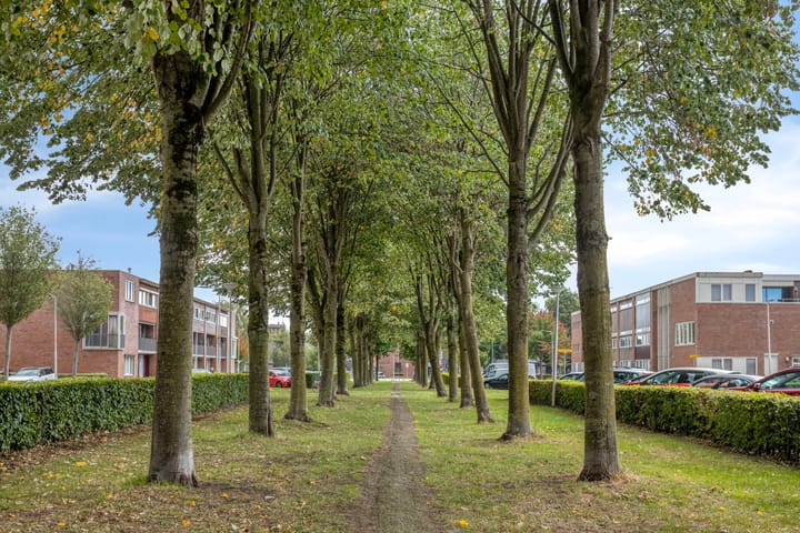 Foto 31 van Boedapestlaan 62