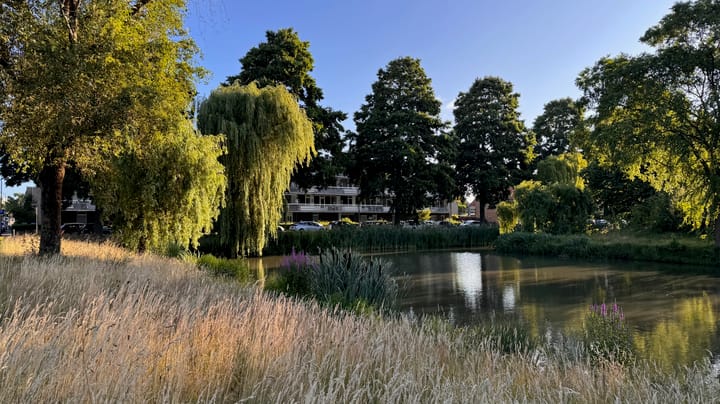 Foto 25 van Albatrosstraat 13