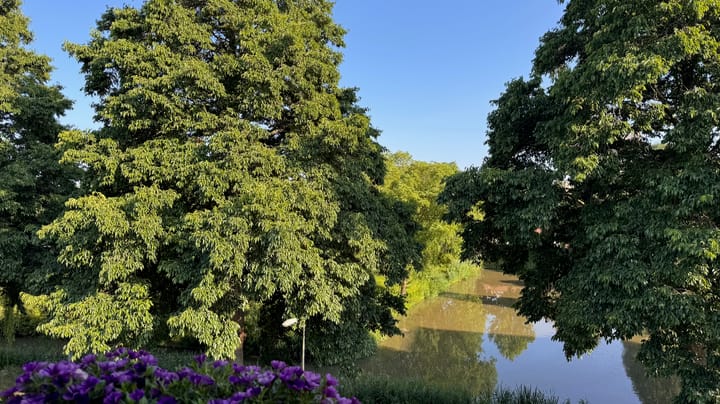 Foto 27 van Albatrosstraat 13