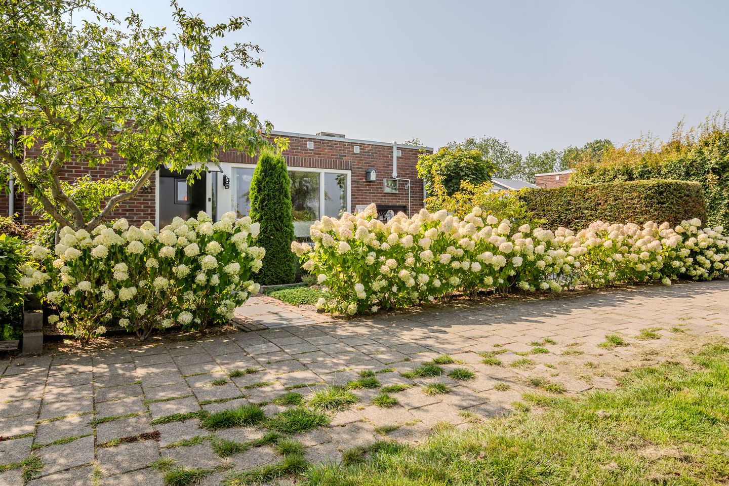 Foto 55 van Broersven 20