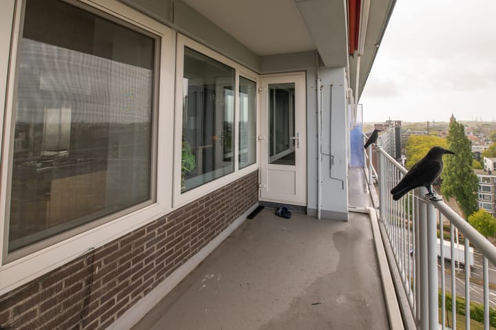 Photo 14 of Louis Raemaekersstraat 125