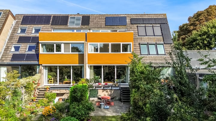 Foto 1 van Hermelijnvlinder 62