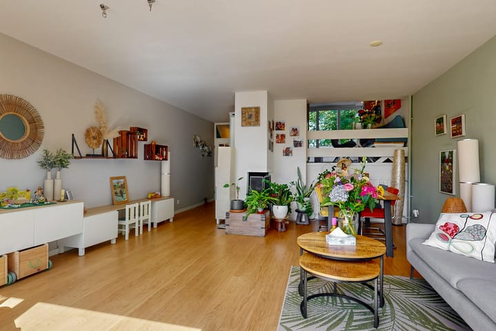 Foto 2 van Hermelijnvlinder 62