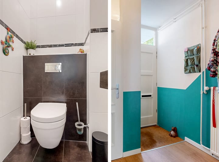 Foto 6 van Hermelijnvlinder 62