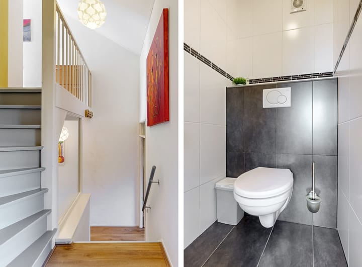 Foto 11 van Hermelijnvlinder 62