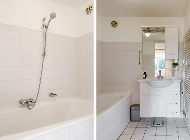 Foto 18 van Hermelijnvlinder 62